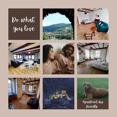 Gite Chez Lulu Proche Du Chateau De Schirmeckアパートメント エクステリア 写真