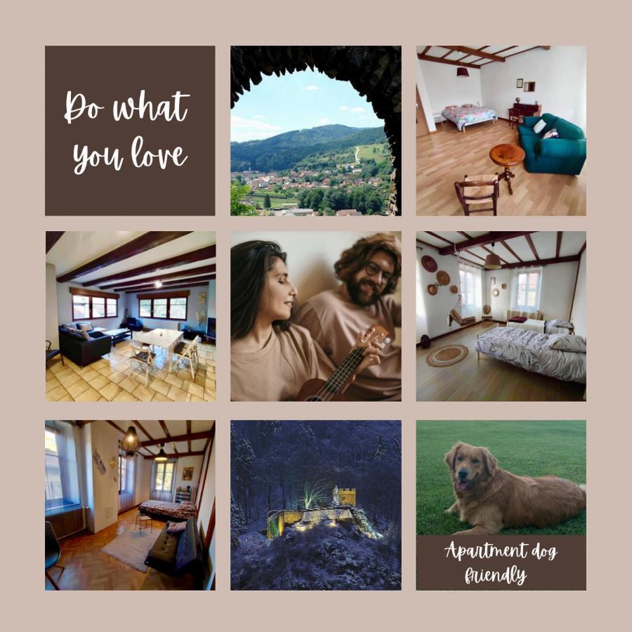 Gite Chez Lulu Proche Du Chateau De Schirmeckアパートメント エクステリア 写真